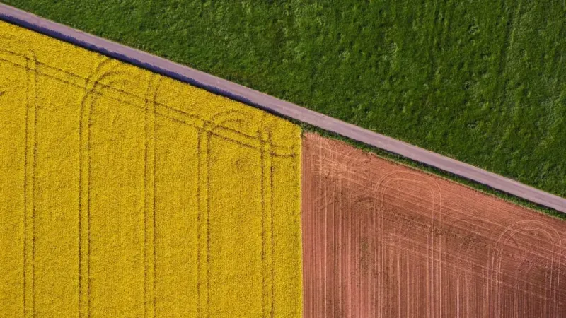 field-abstract-1-1024x576.jpg