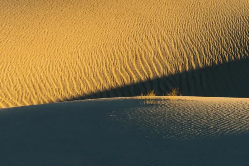 flat-sand-dunes-usa-1024x683.jpg