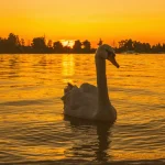 Temperatura de color en la fotografia