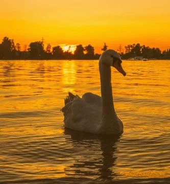 Temperatura de color en la fotografia