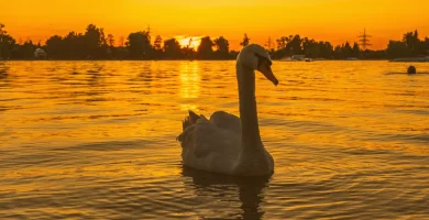 Temperatura de color en la fotografia