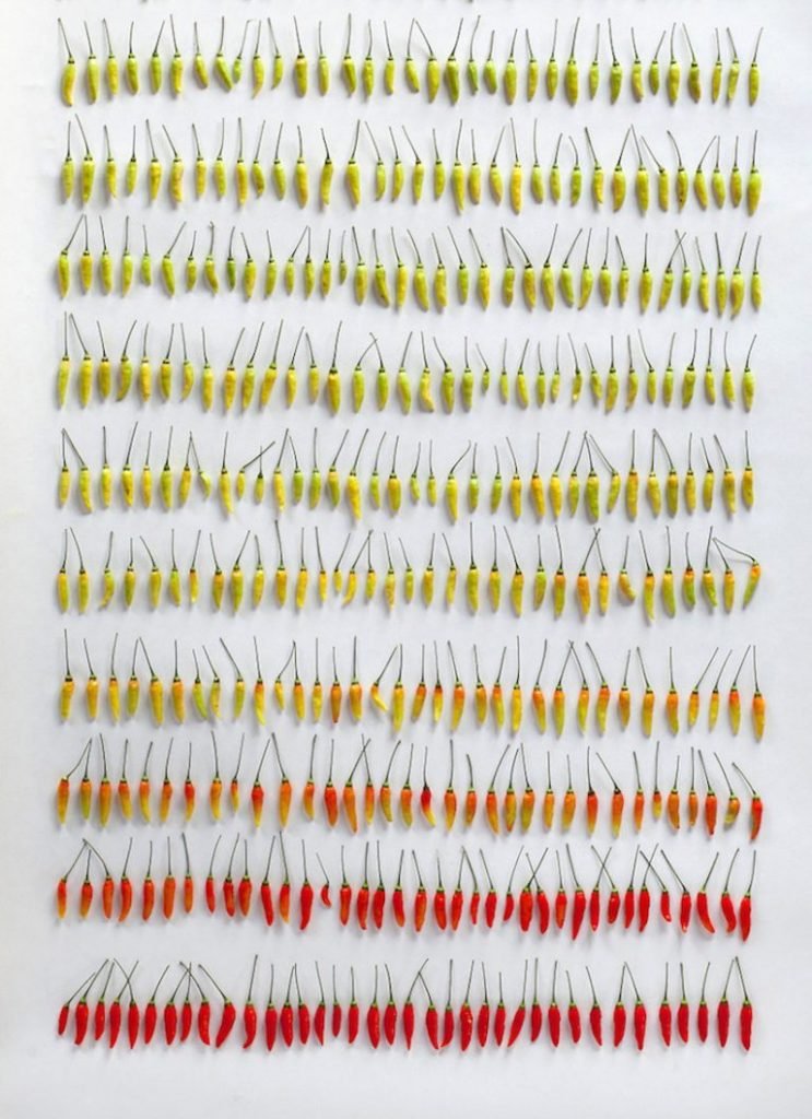 @Austin Radcliffe. Things organised Neatly